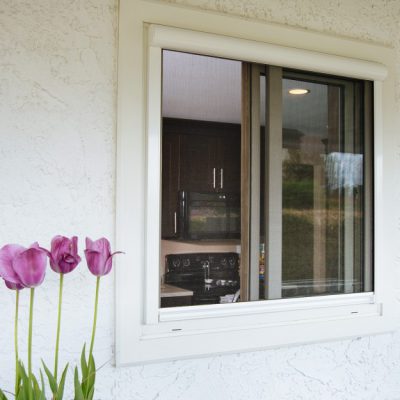 tulips growing outside a window with a sliding screen